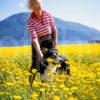 Lady With Her Dog In Field Of Daisies Onich Loch Leven