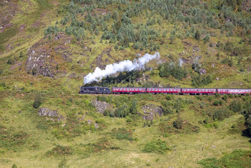 32c53099 198a7107 Steam Train