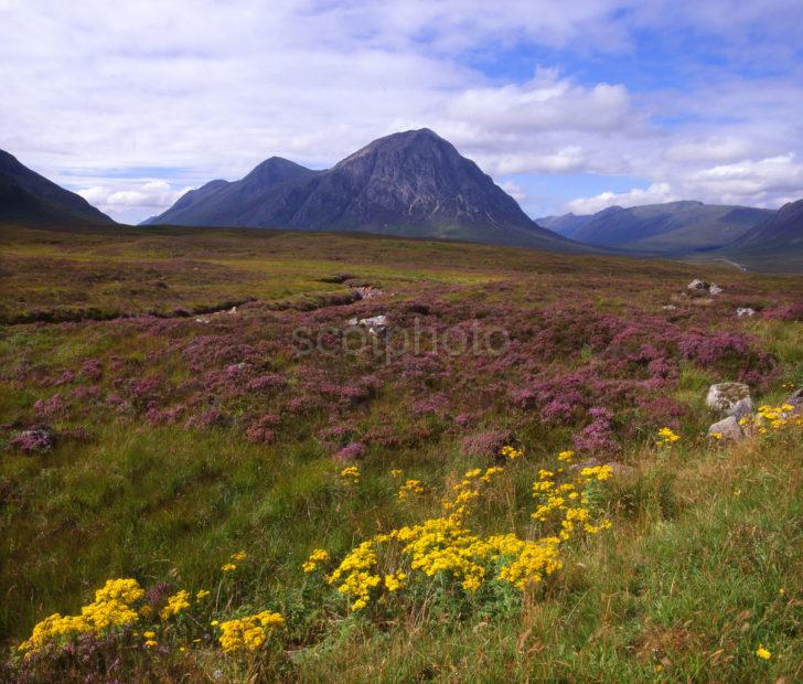 D5208b4b Buachaille Etive Mhor