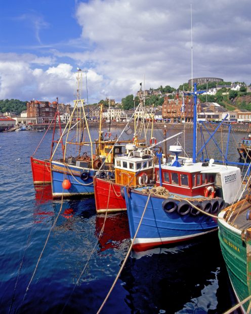 Colourful Scene In Oban Bay From Rail Pier Towards Town