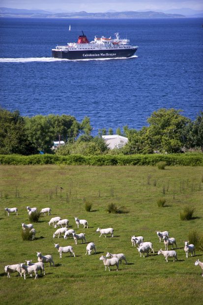 I5D8561_CALEDONIAN_ISLES_D