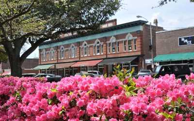 history of summerville sc