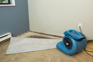 Water Damage Restoration Moncks Corner