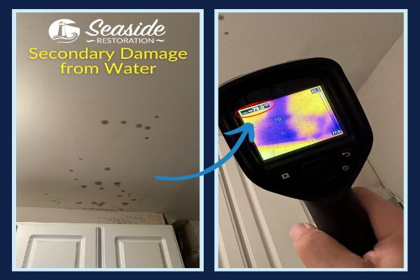 Secondary Water Damage