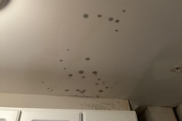 Water Damage on Ceiling