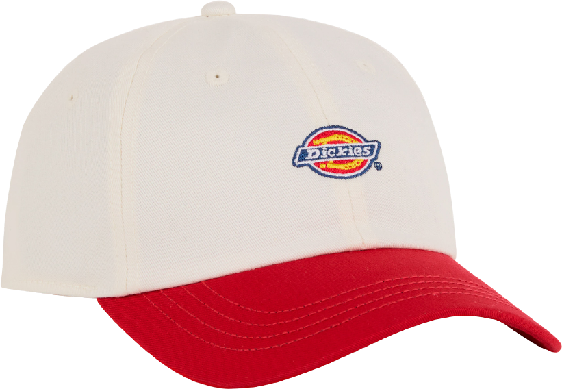 Dickies Hardwick 2 Tone Egret