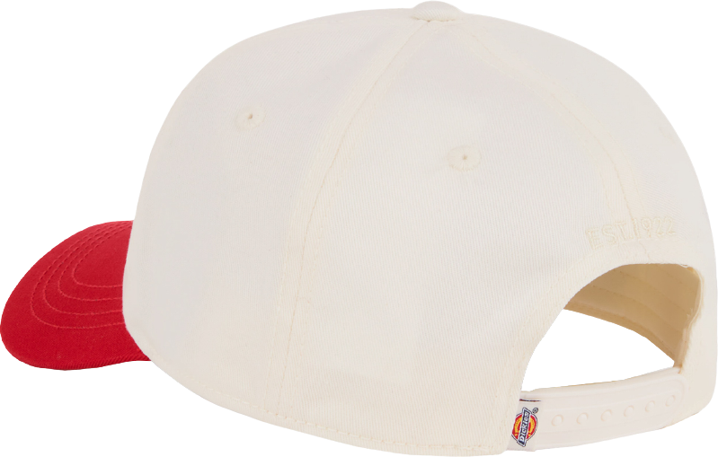 Dickies Hardwick 2 Tone Egret