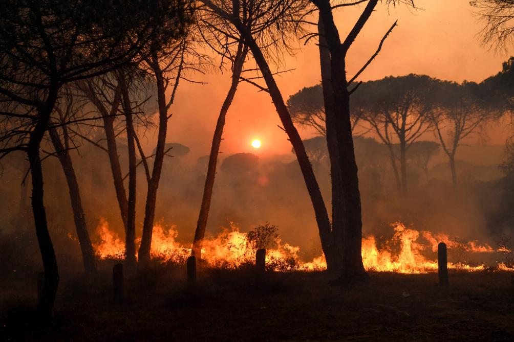 Feux de forêt : les prévenir et s’en protéger