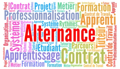 La Ville de Mougins recrute un alternant BAC Pro Ouvrier de Maintenance des Bâtiments (H/F)
