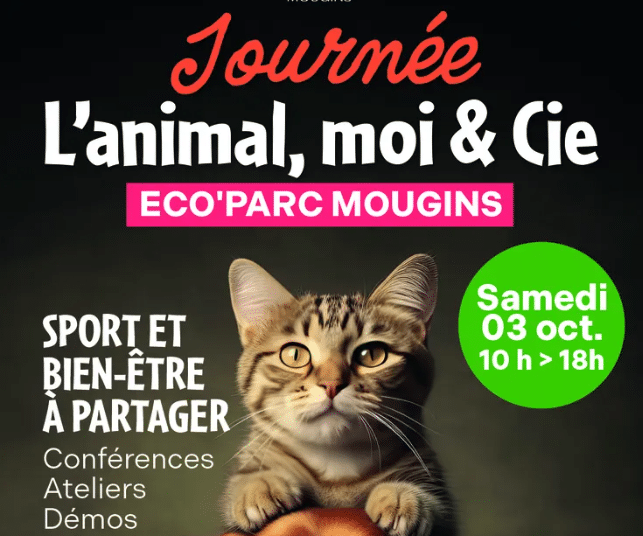 L’Animal, Moi & Cie : une journée placée sous le signe de la complicité