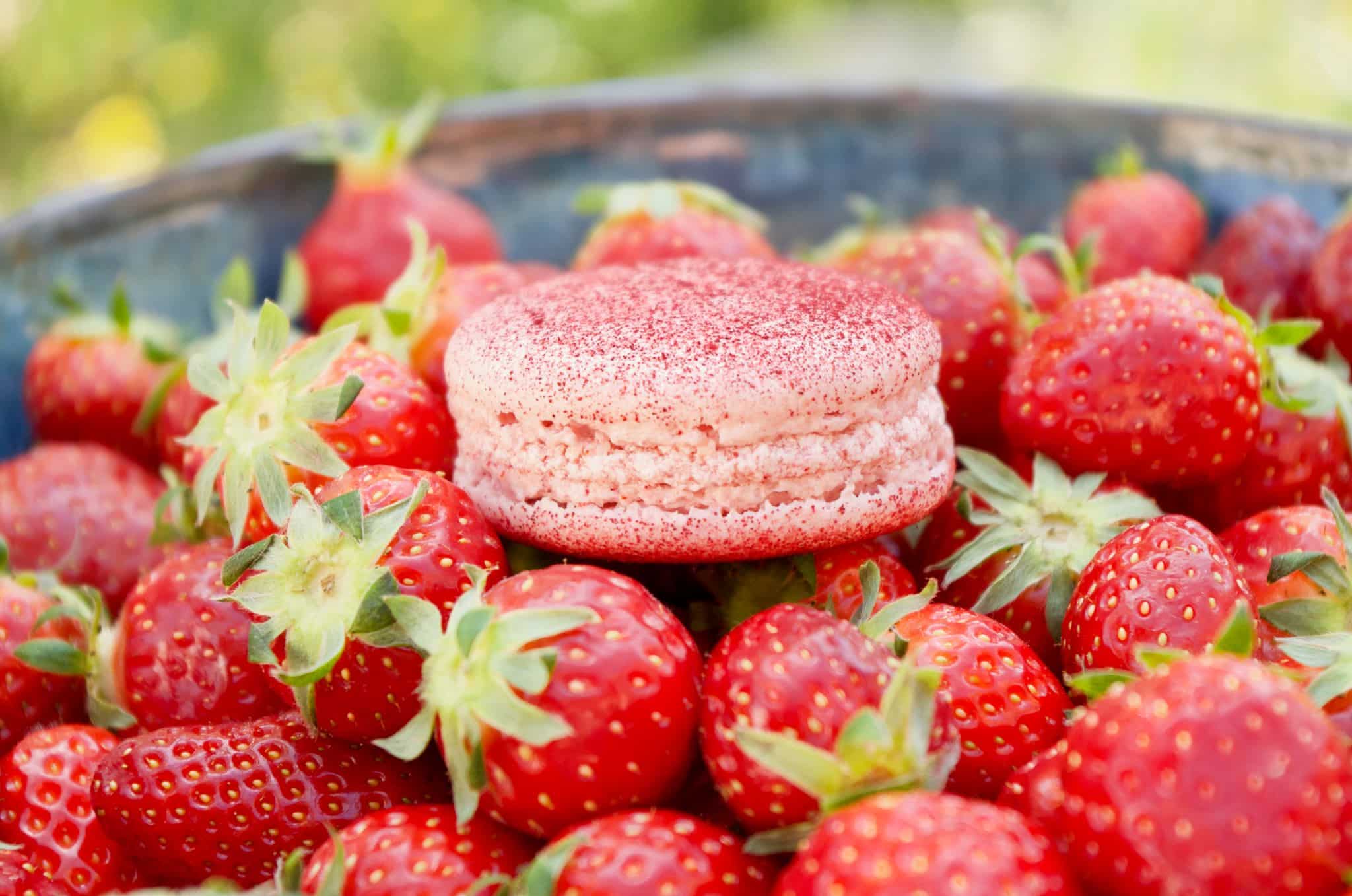 Pâtisserie du jour : Tarte Fraise Mara des bois – Pistache, Acide Macaron  (Paris 17è)