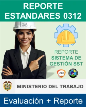 Reporte de autoevaluación ministerio de trabajo