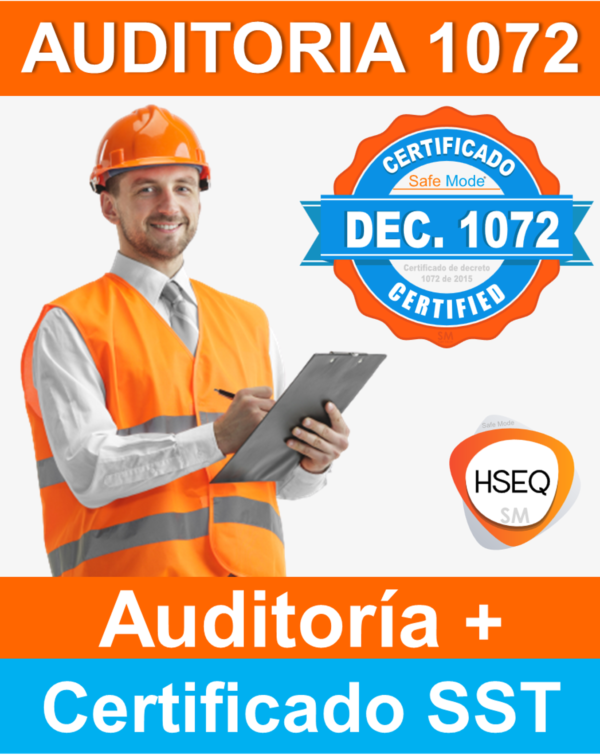 Servicio de auditoria 1072