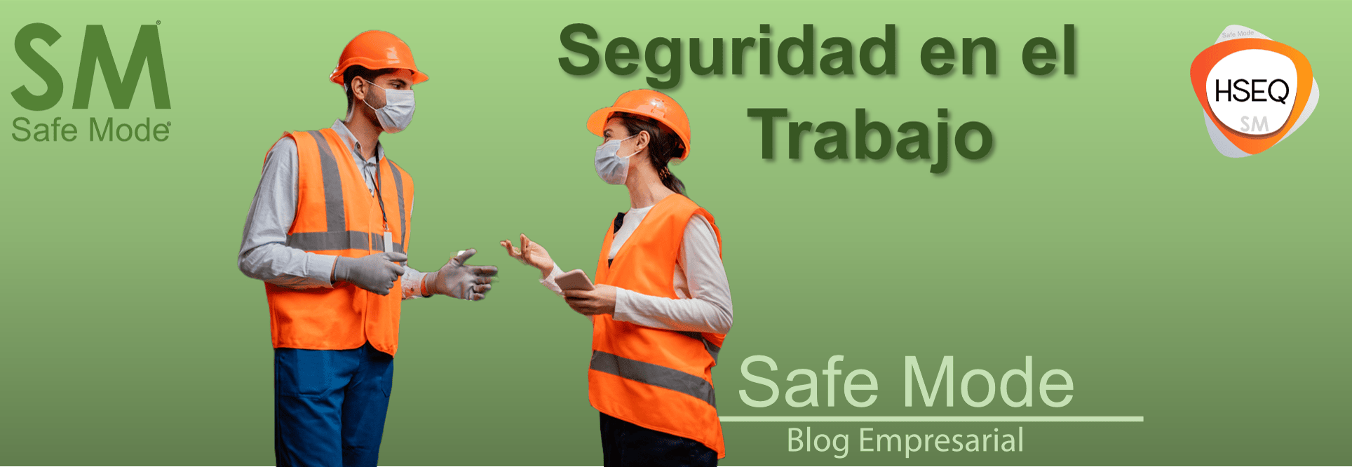 🥇 Seguridad En El Trabajo Gestión Efectiva Sm Safe Mode 6535