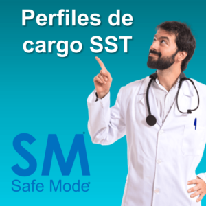 que es el perfil de cargo SST