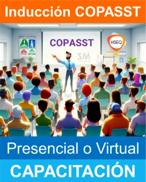 capacitacion inicial COPASST