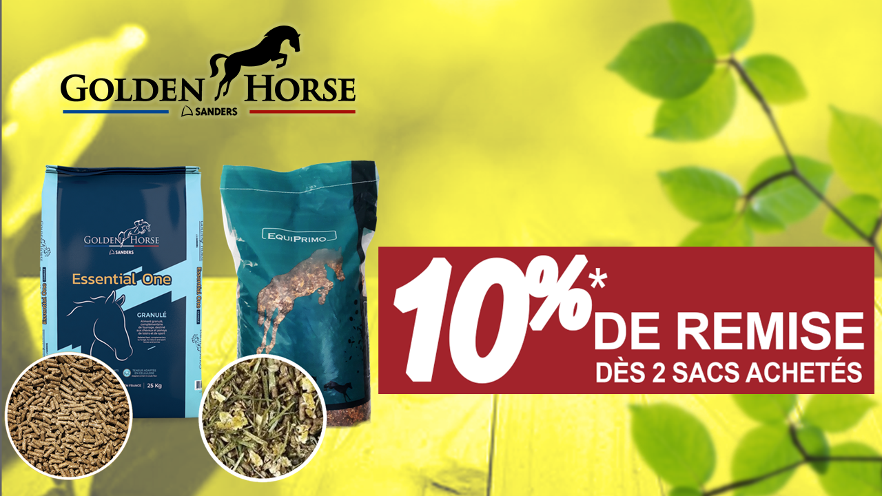 PROMOTION -10% GOLDEN HORSE