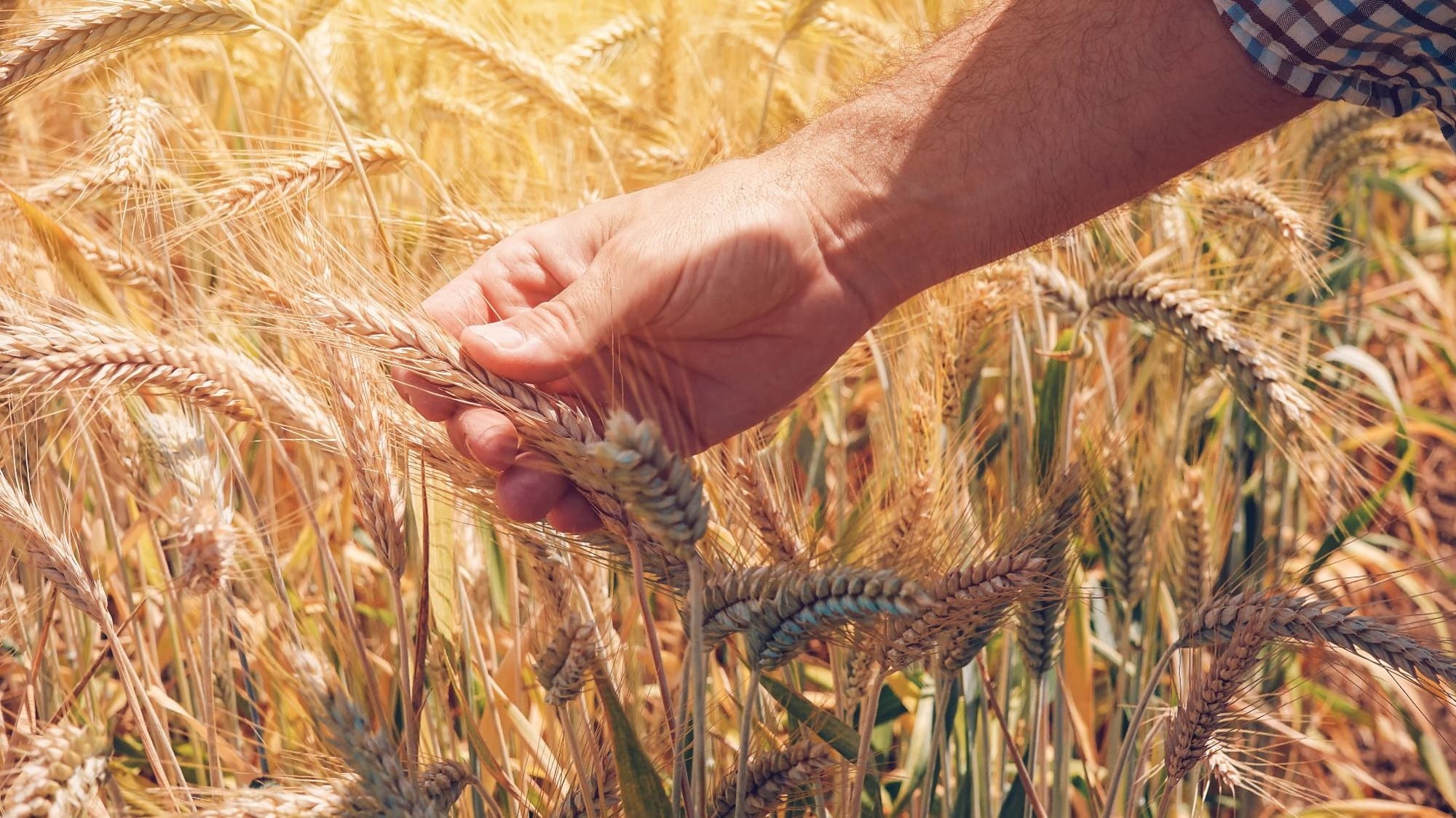 SAISONNIERS 2026 – TOUS SECTEURS H/F