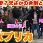 駅で「パプリカ」を弾いたら合唱とダンスが発生して奇跡的な空間になった！？【ストリートピアノ】