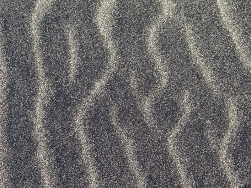 A small detail of a Pacific Island sand dune follows the larger pattern of the dunes, and mimics a branching pattern__800px