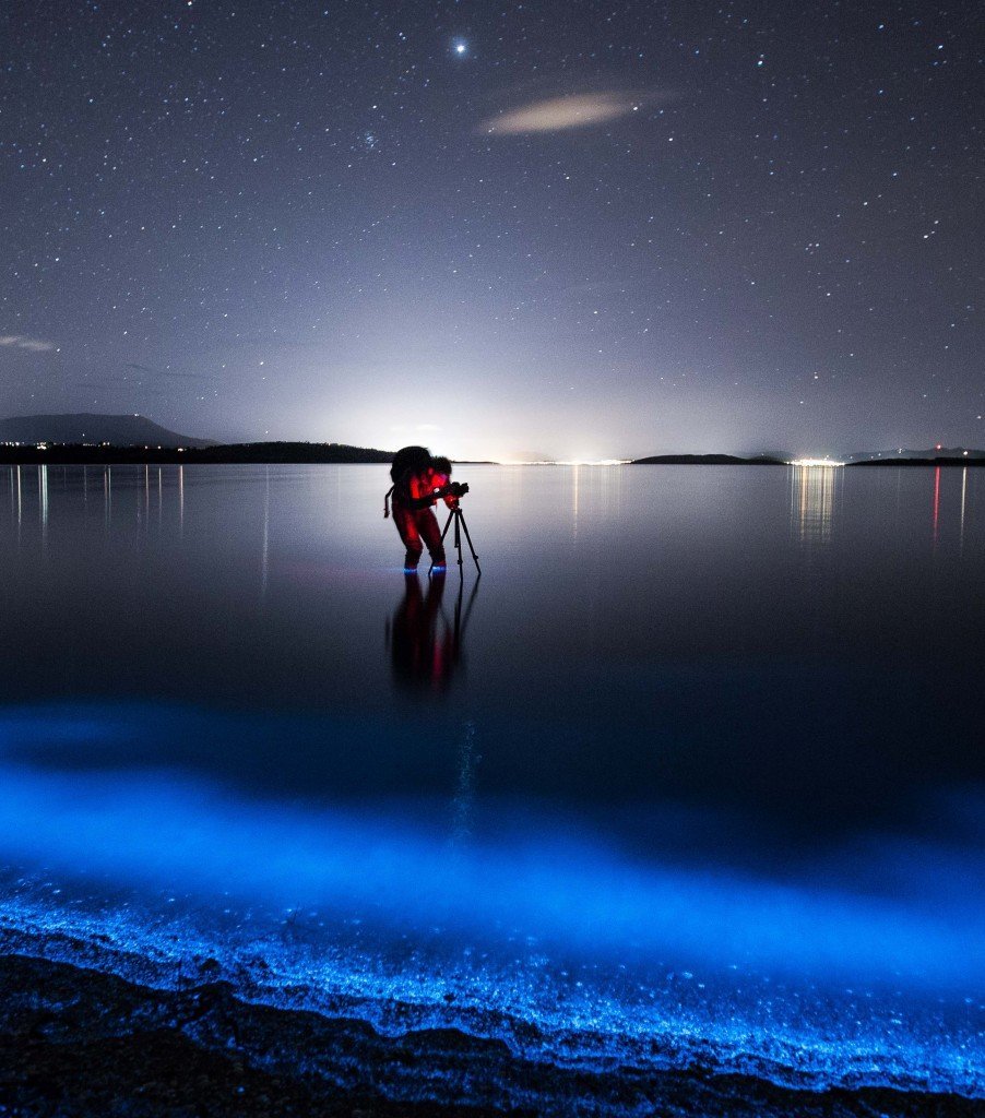 The Definitive Guide How To Find And Photograph Sea Sparkle Bioluminescence Tasmanian Geographic
