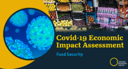 Covid-19 and food security: can emerging economies mitigate rising prices?