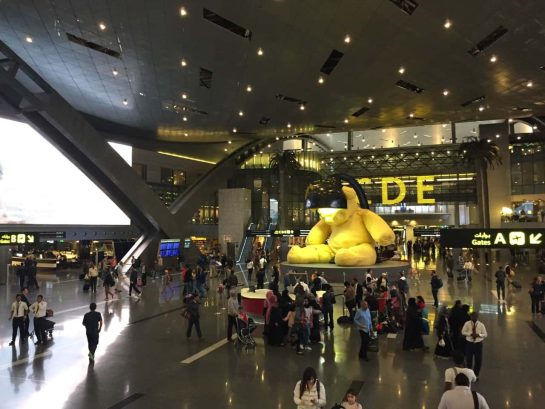 Doha intelligence overview