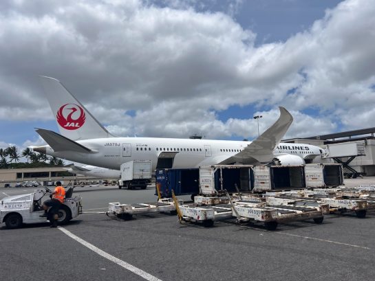 Honolulu International Airport Special Ramp Tour - HNL - Hawaii, USA ...