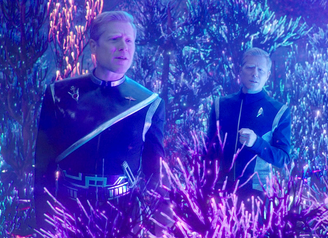 paul stamets