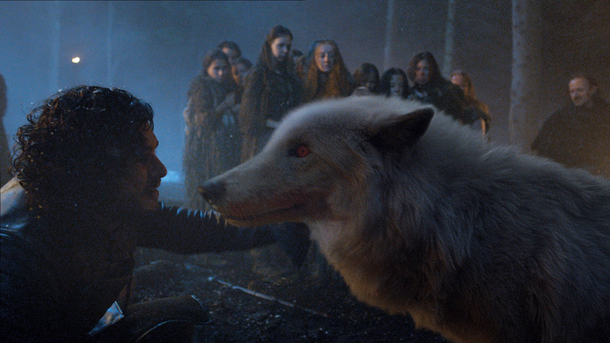 Ghost and Jon Snow from Game of Thrones.