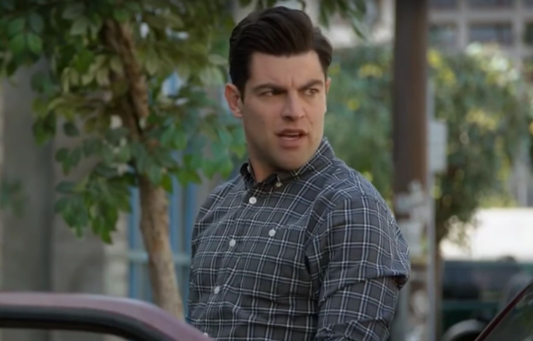 New Girl's stay-at-home tv dad Schmidt.