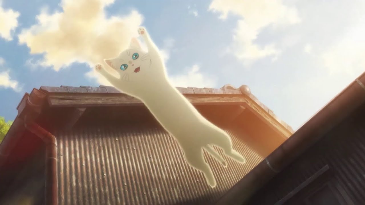 Miyo (as the white cat, Taro) jumps from a building.