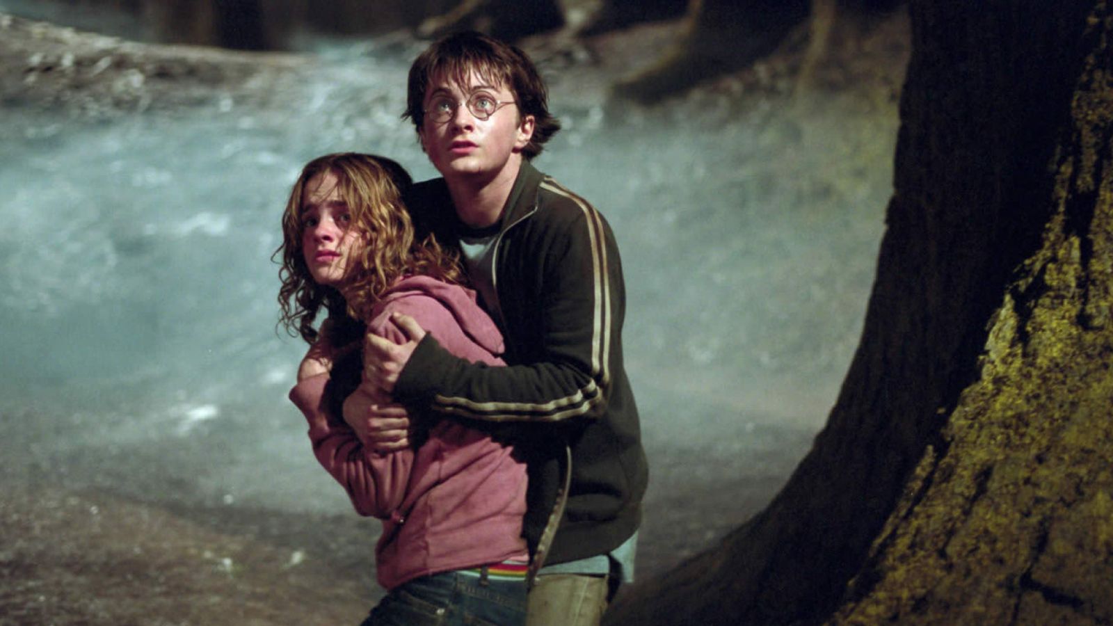 Harry Potter protecting his friend Hermione Granger 
