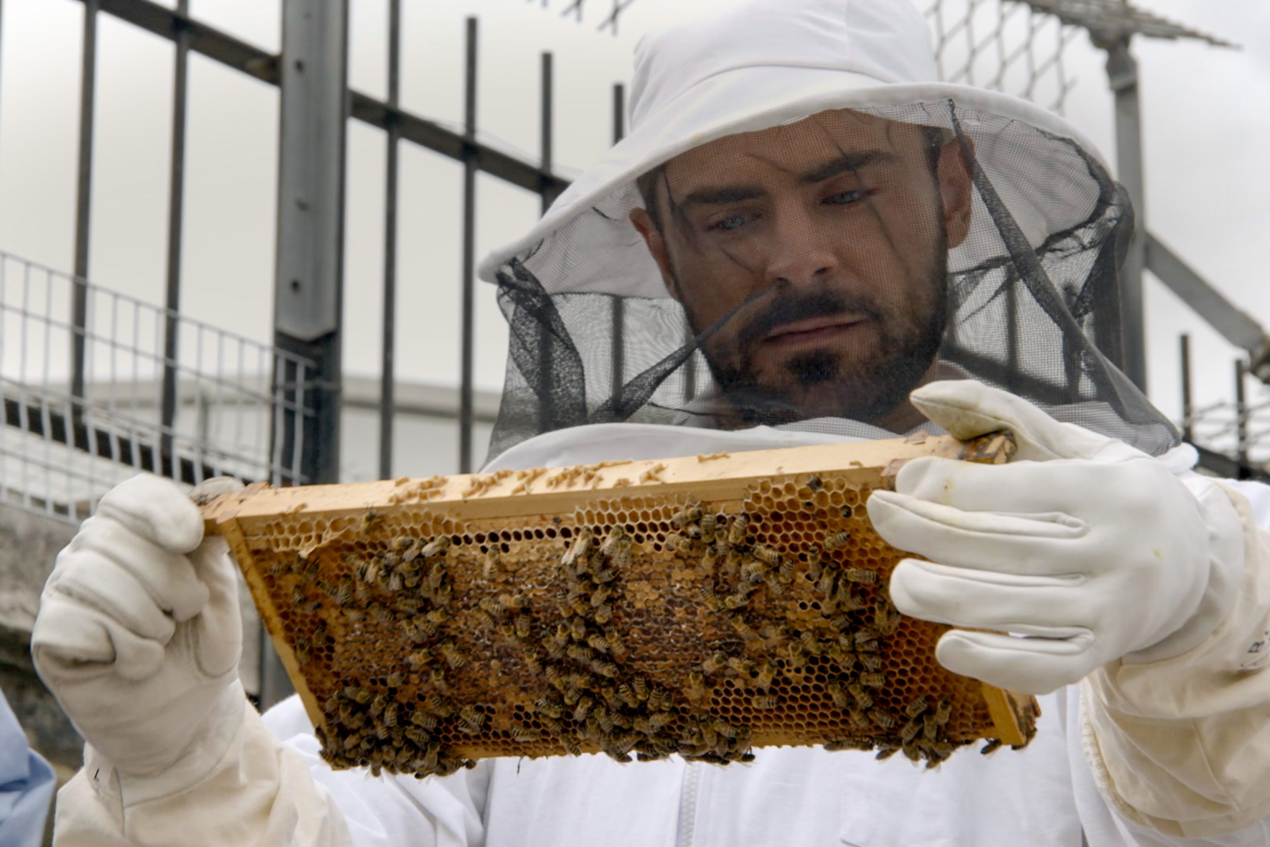 Zac observes what it's like to be a beekeeper.