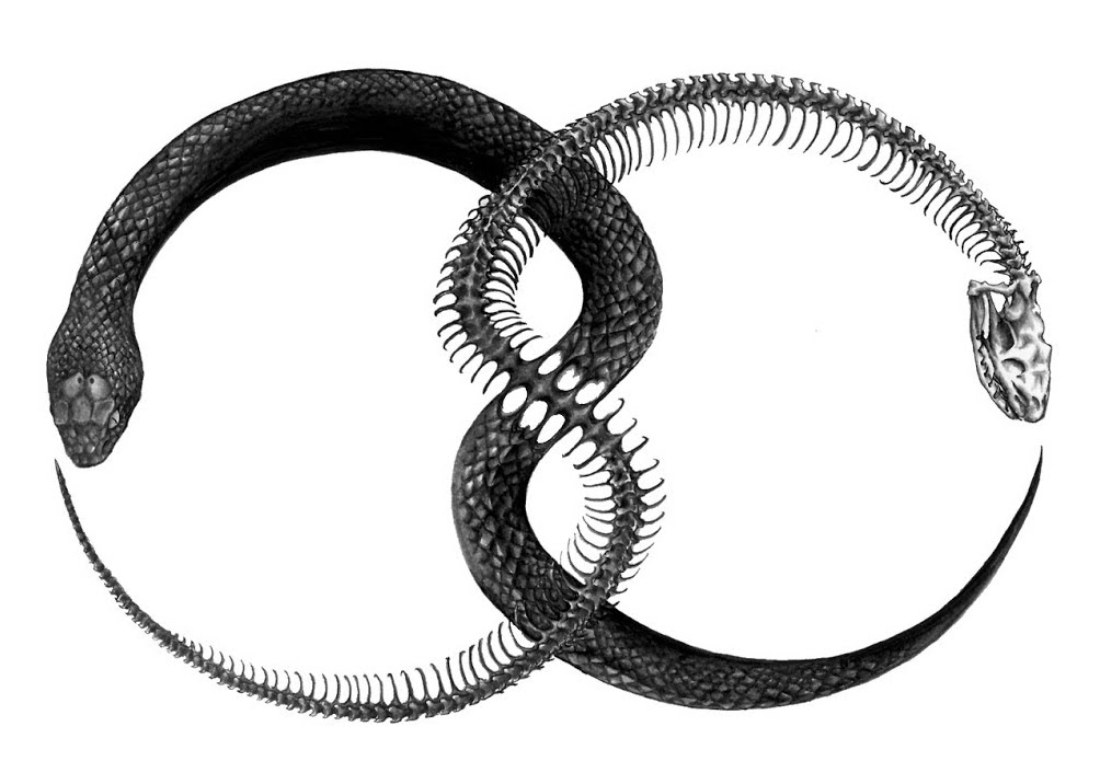 Ouroboros Snake Symbol