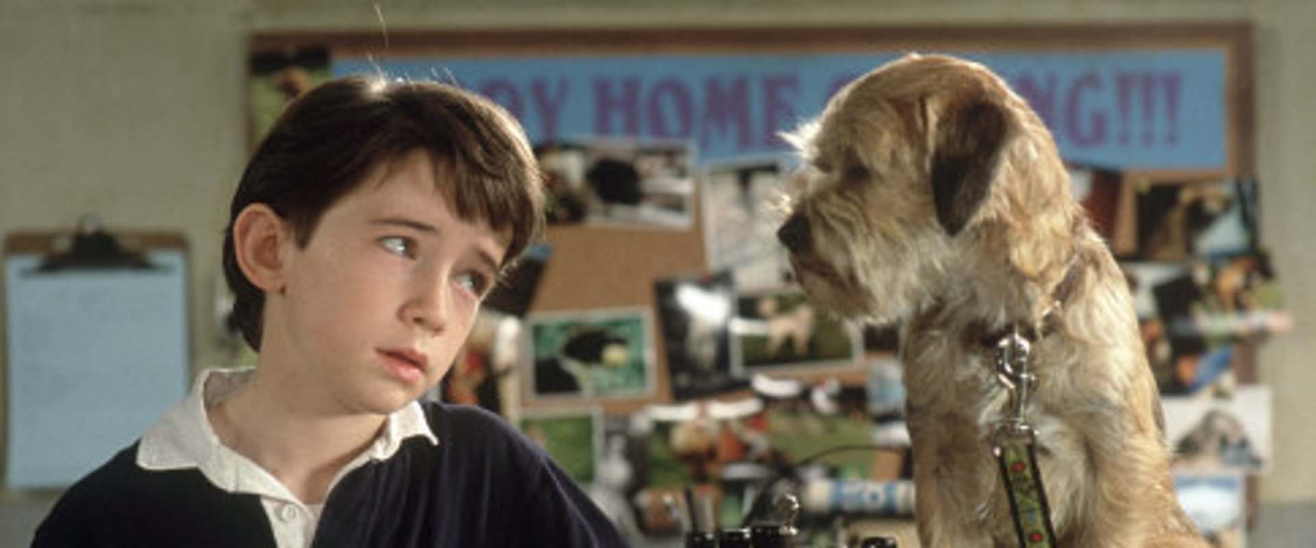 For International Dog Day, Good Boy (2003) is a great place to start with Owen and Hubble trying to save all the dogs on earth.