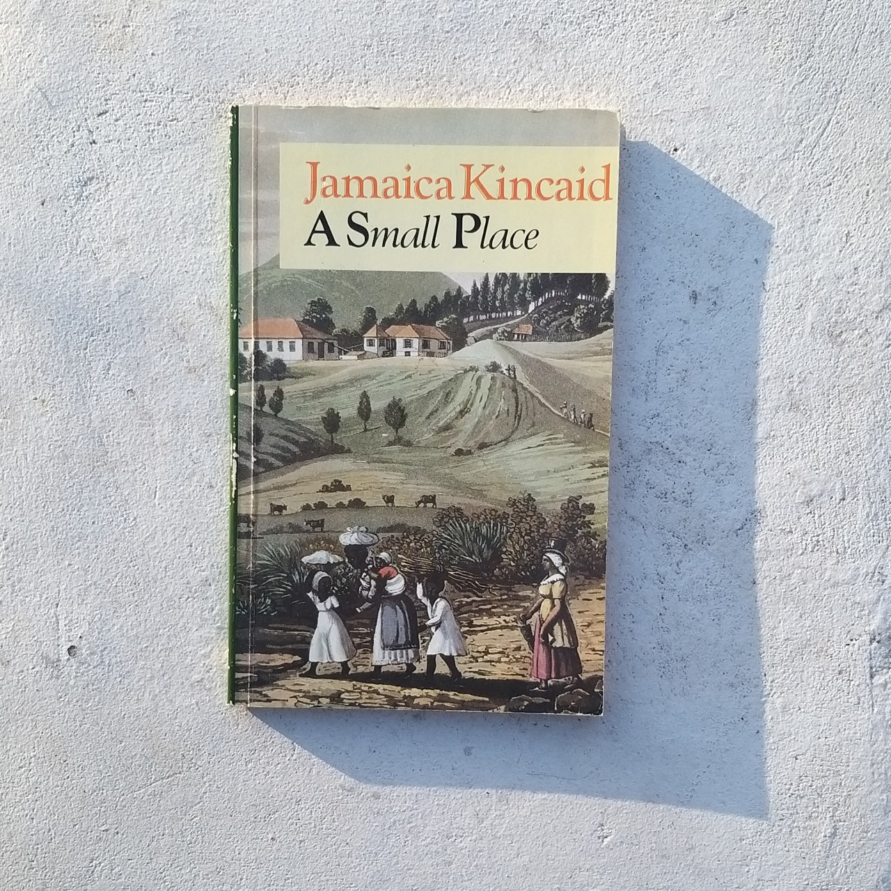 Jamaica Kincaid's autobiography centered on the colonization of her home island.