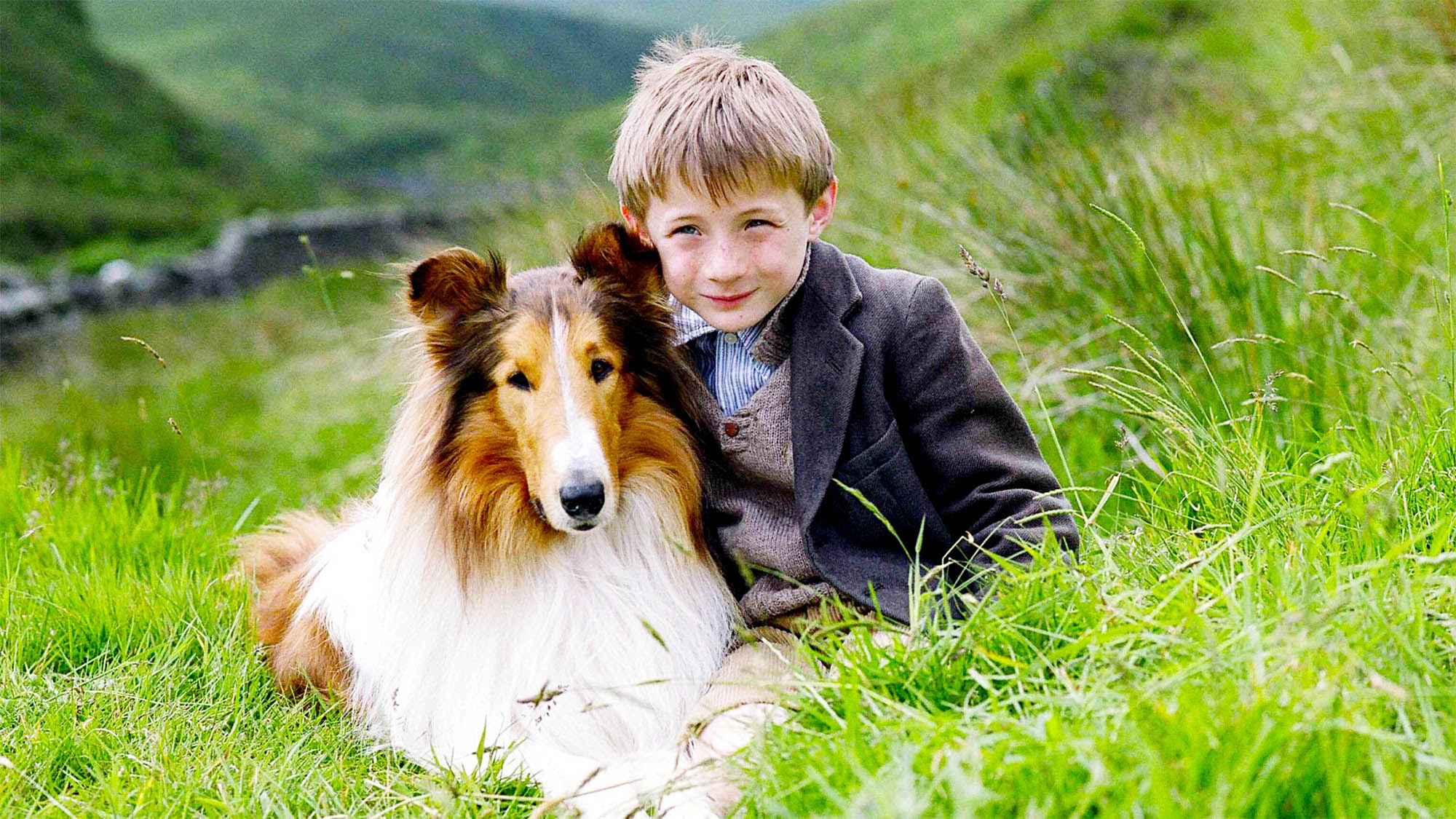 One of the most famous dogs of all time, Lassie poses with Roddy McDowell in "Lassie Come Home."