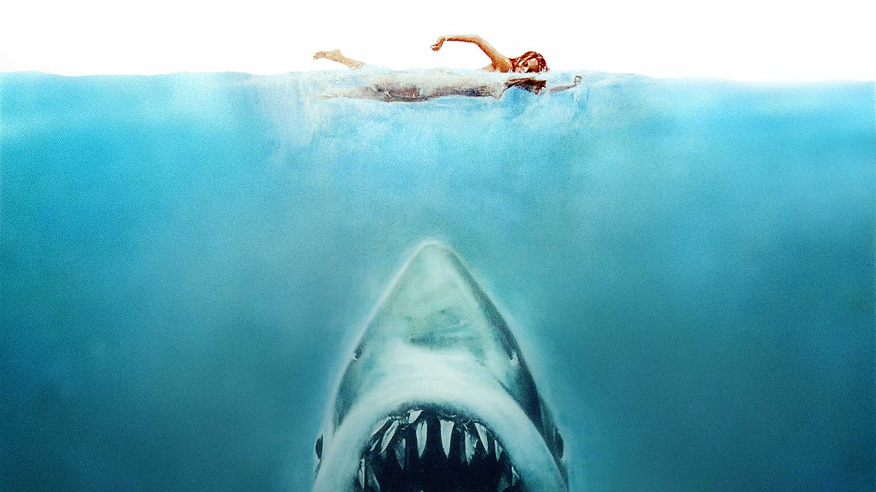 The Similarities Between 1975's Jaws Verses 2018's The Meg • The Daily  Fandom