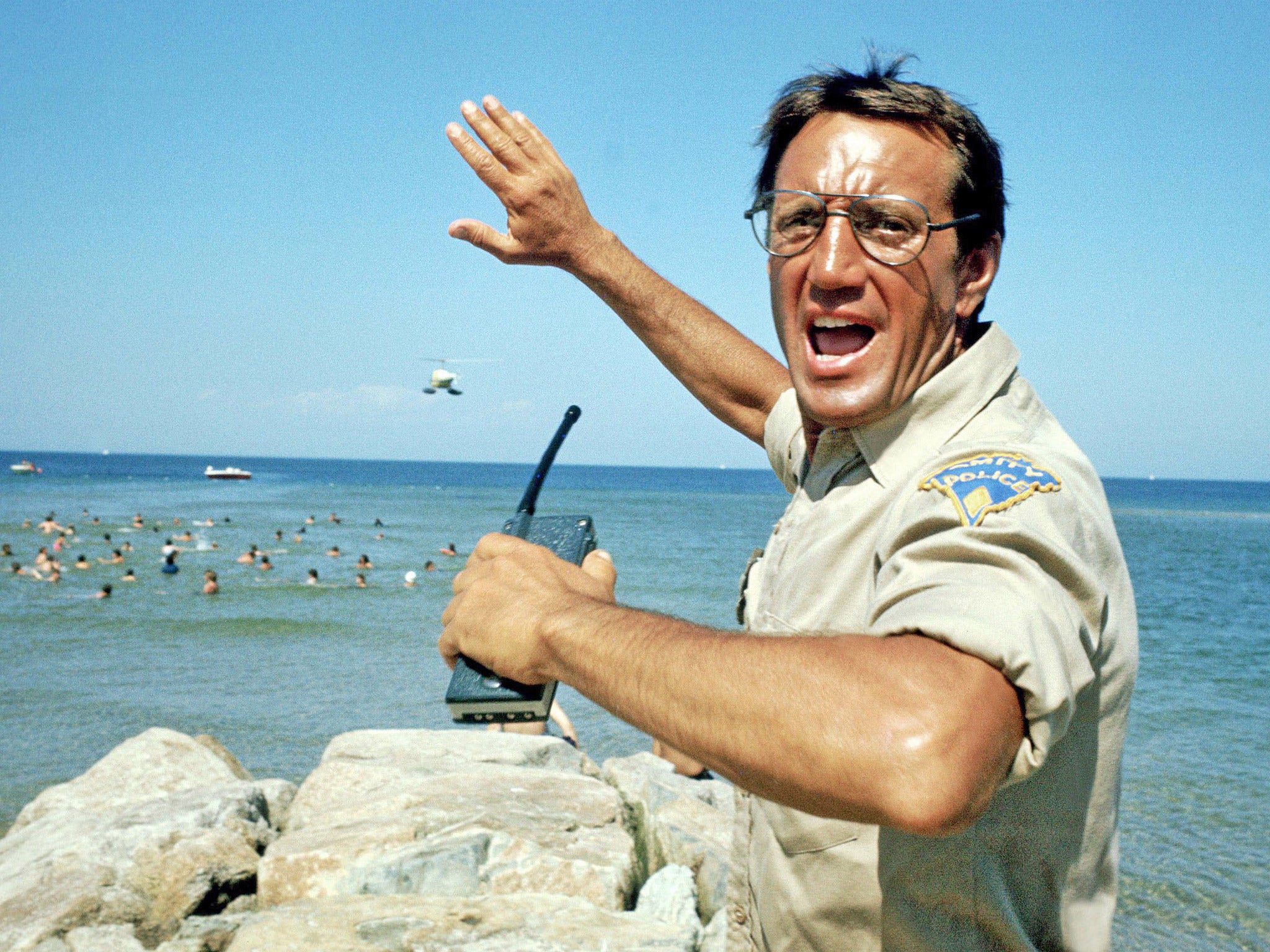 Brody shouts at the children in the water, warning them about the dangerous shark.