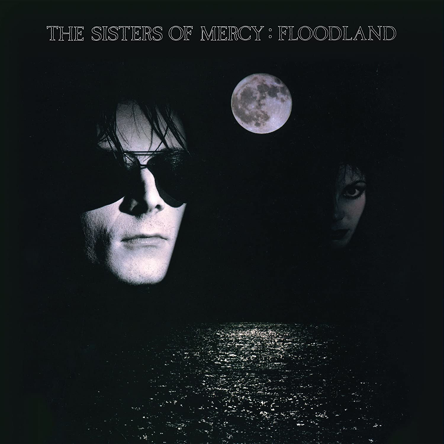 Cover art for The Sisters of Mercy's album Floodland, on which "Lucretia My Reflection" appears.