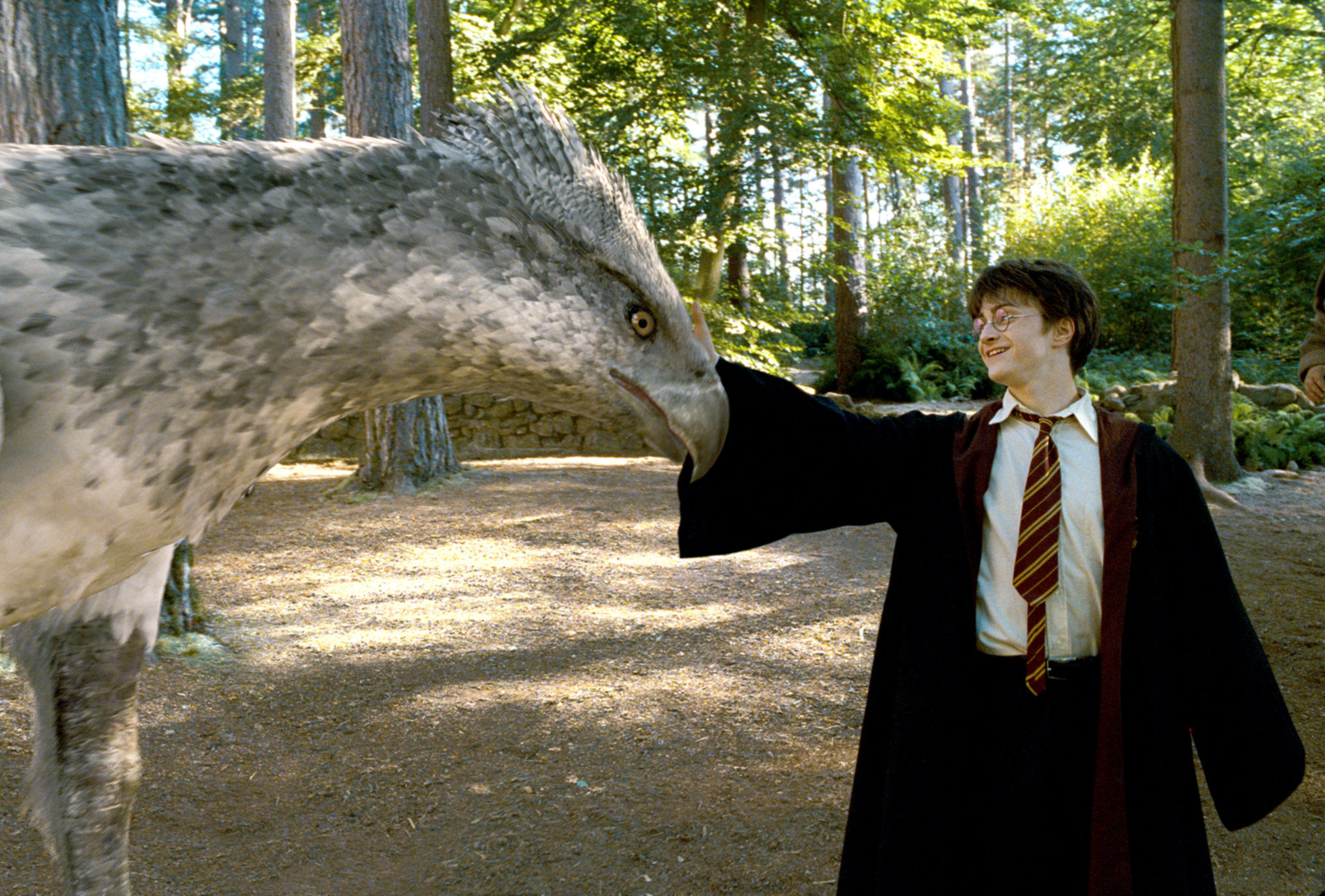 Harry Potter smiles while he pets Buckbeak amidst a sunny forest.