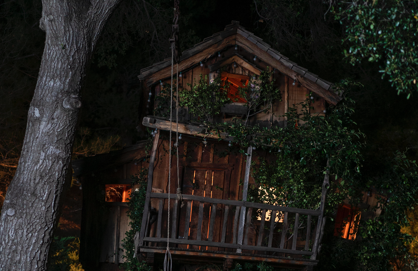 Peter Rake investigates a stalker's room of him in a Treehouse in the movie Treehouse.