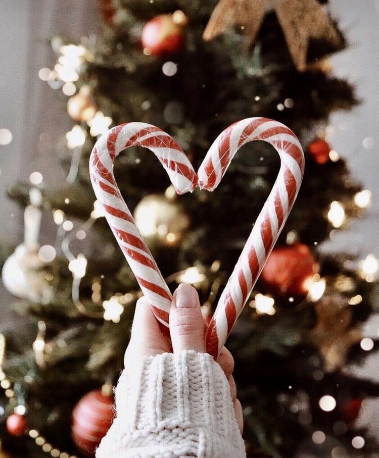 Two candy canes are held together in the shape of a heart in front of a Christmas tree background.