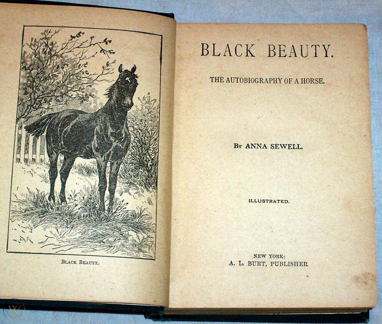 Classic Black Beauty novel by Anna Sewall.