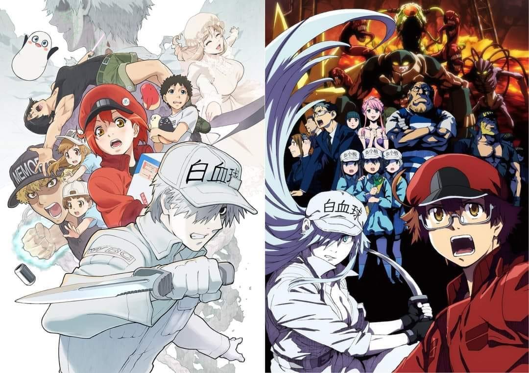 Left: Cells at Work! anime poster and to the right: Cells at Work! Code Black! anime poster.