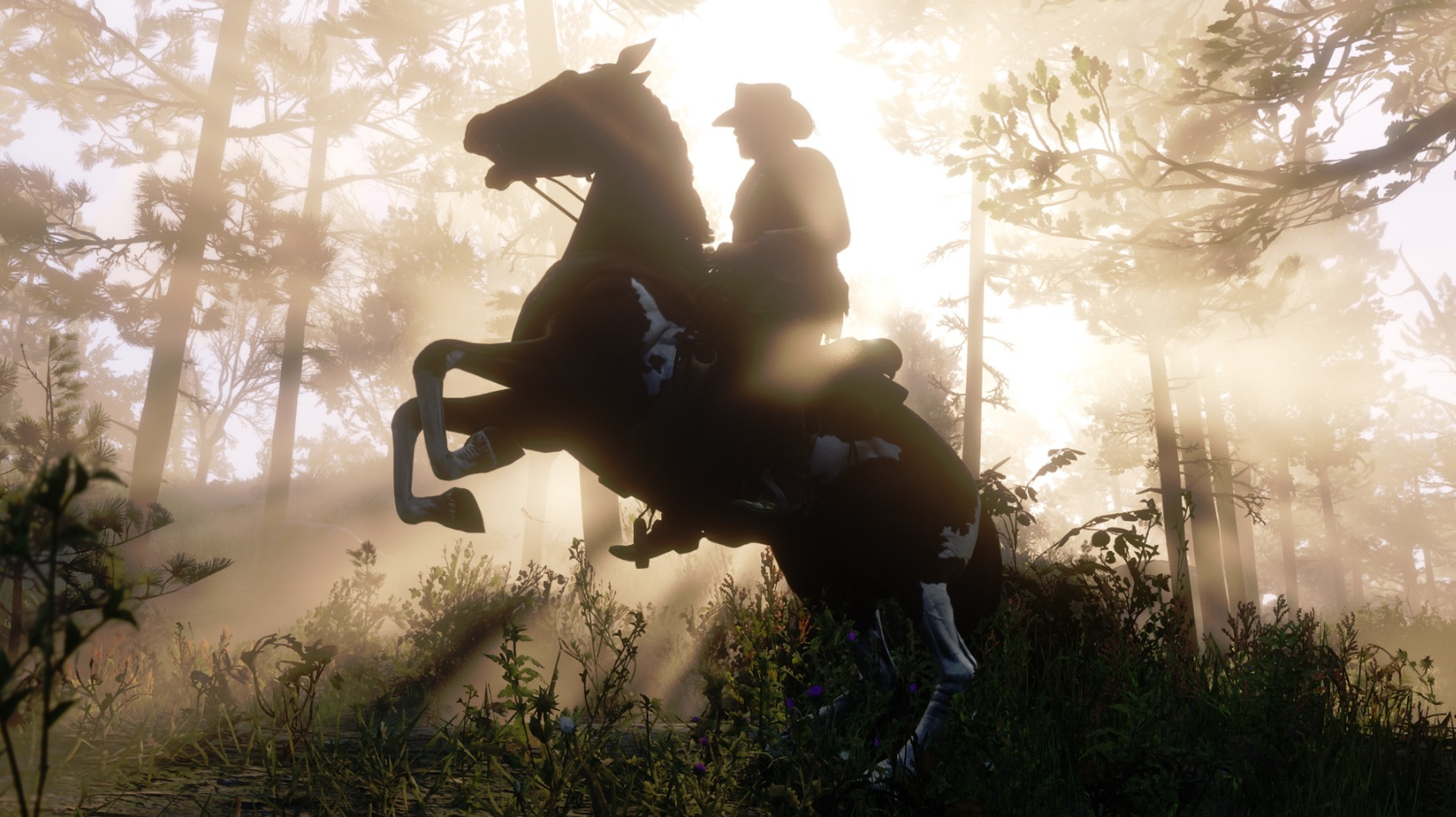 A silhouetted cowboy on horseback in Red Dead Redemption II.