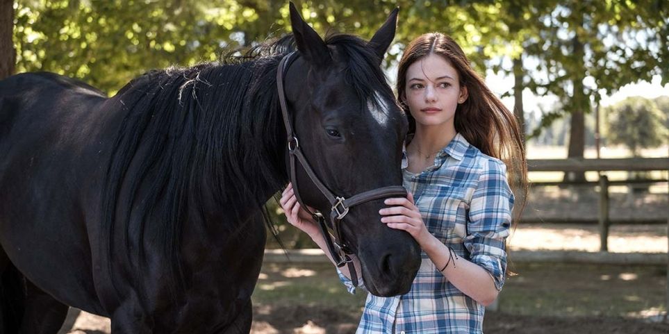 Black Beauty and Jo keep each other company.