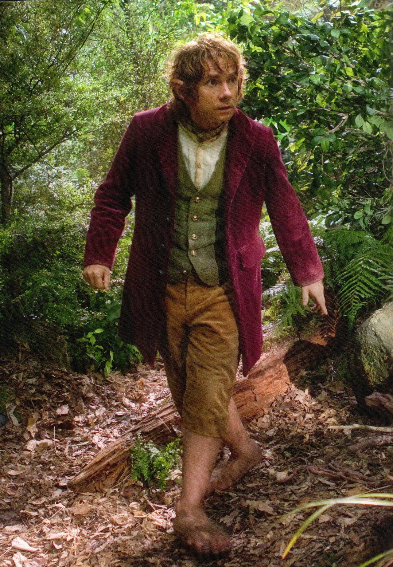 A young Bilbo Baggins (Martin Freeman) wears a red overcoat, a green vest and tan pants while walking through a wooded area.