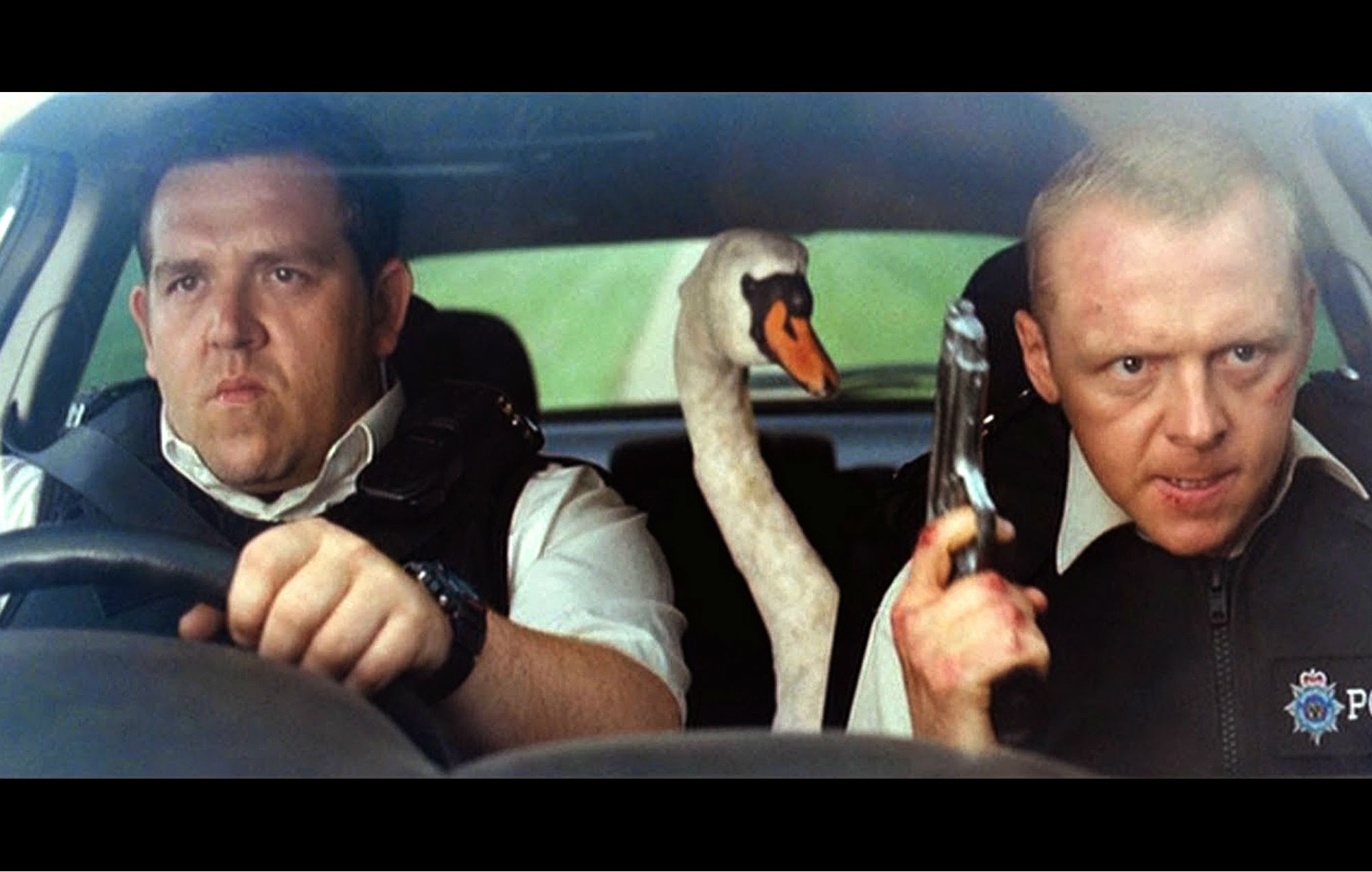 Nicholas (right) and Danny (left) sit in the front seats of a car, with a swan in the back seat.